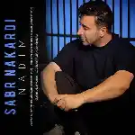 دانلود آهنگ صبر نکردی از ندیم